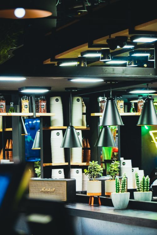 Free Warm café interior featuring disposable cups, plants, and modern lighting. Stock Photo