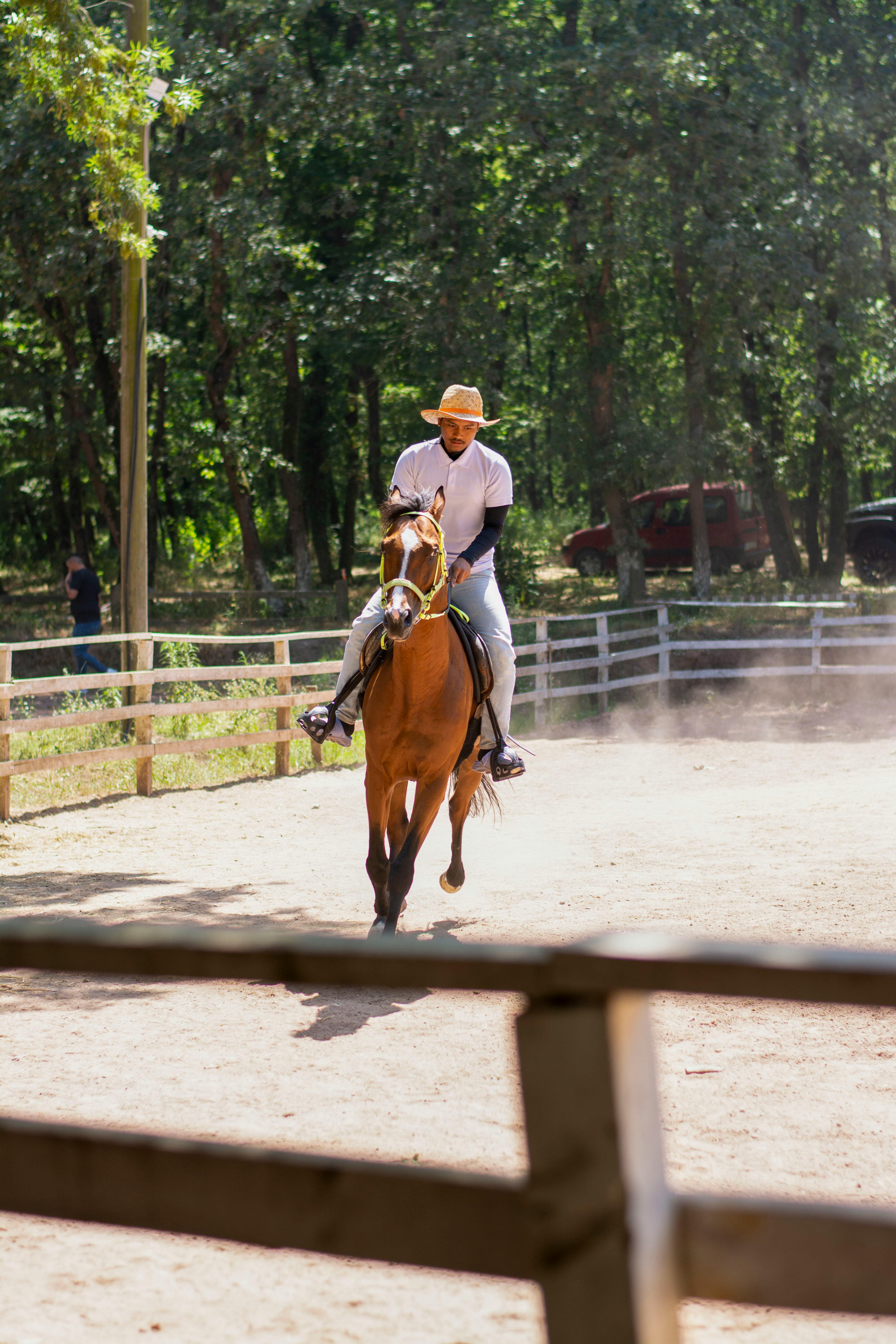 man riding a horse on a farm