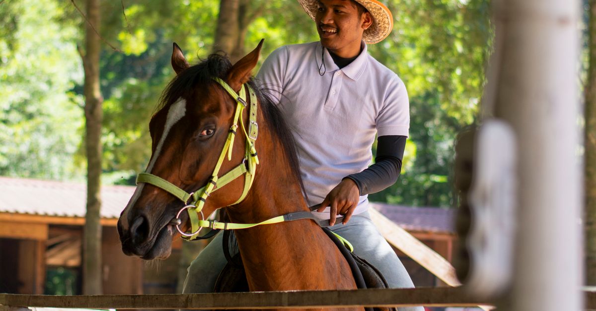 Operate Man Riding Man Riding a Horse on a Farm · Free Stock Photo