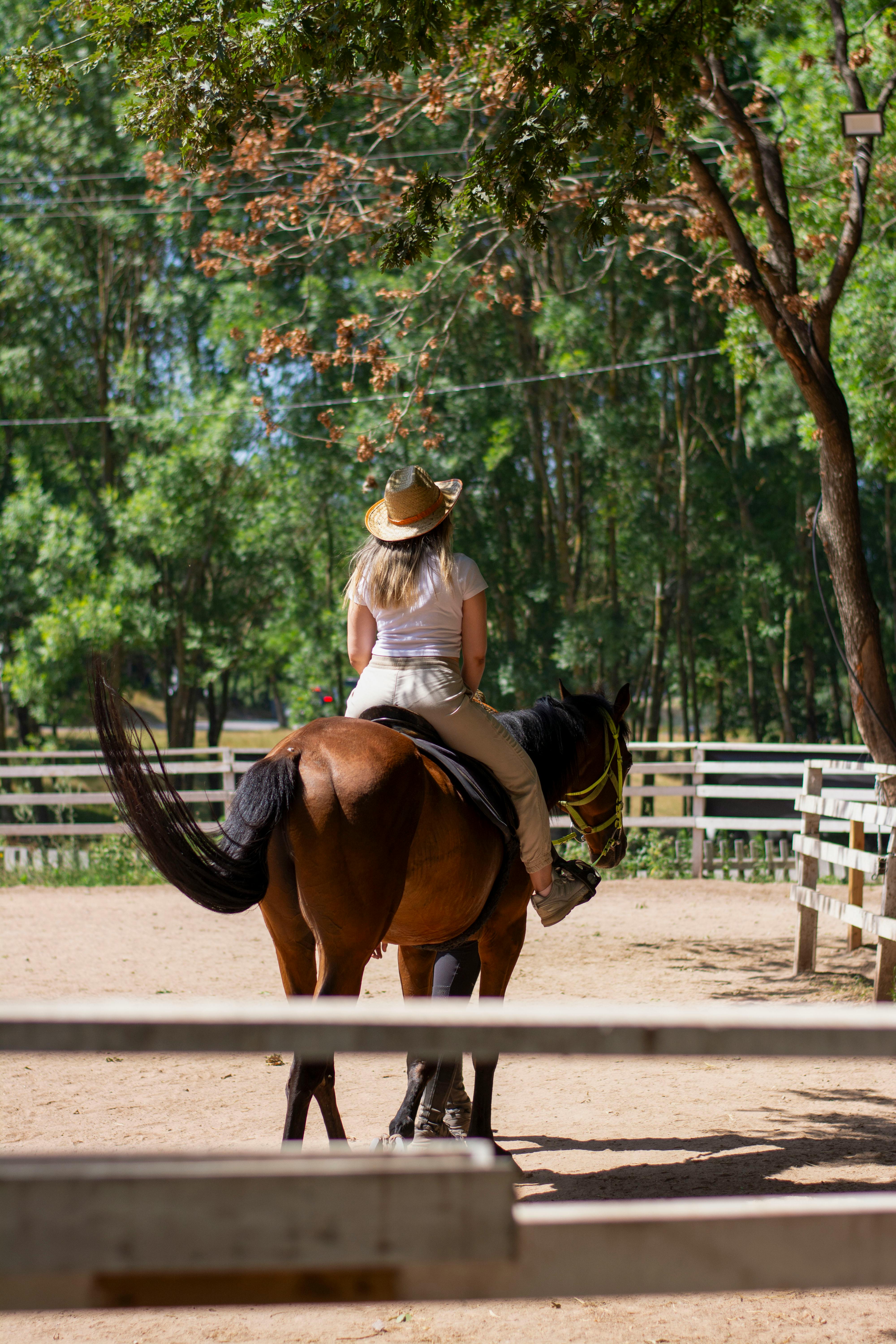 woman riding a horse in a paddock