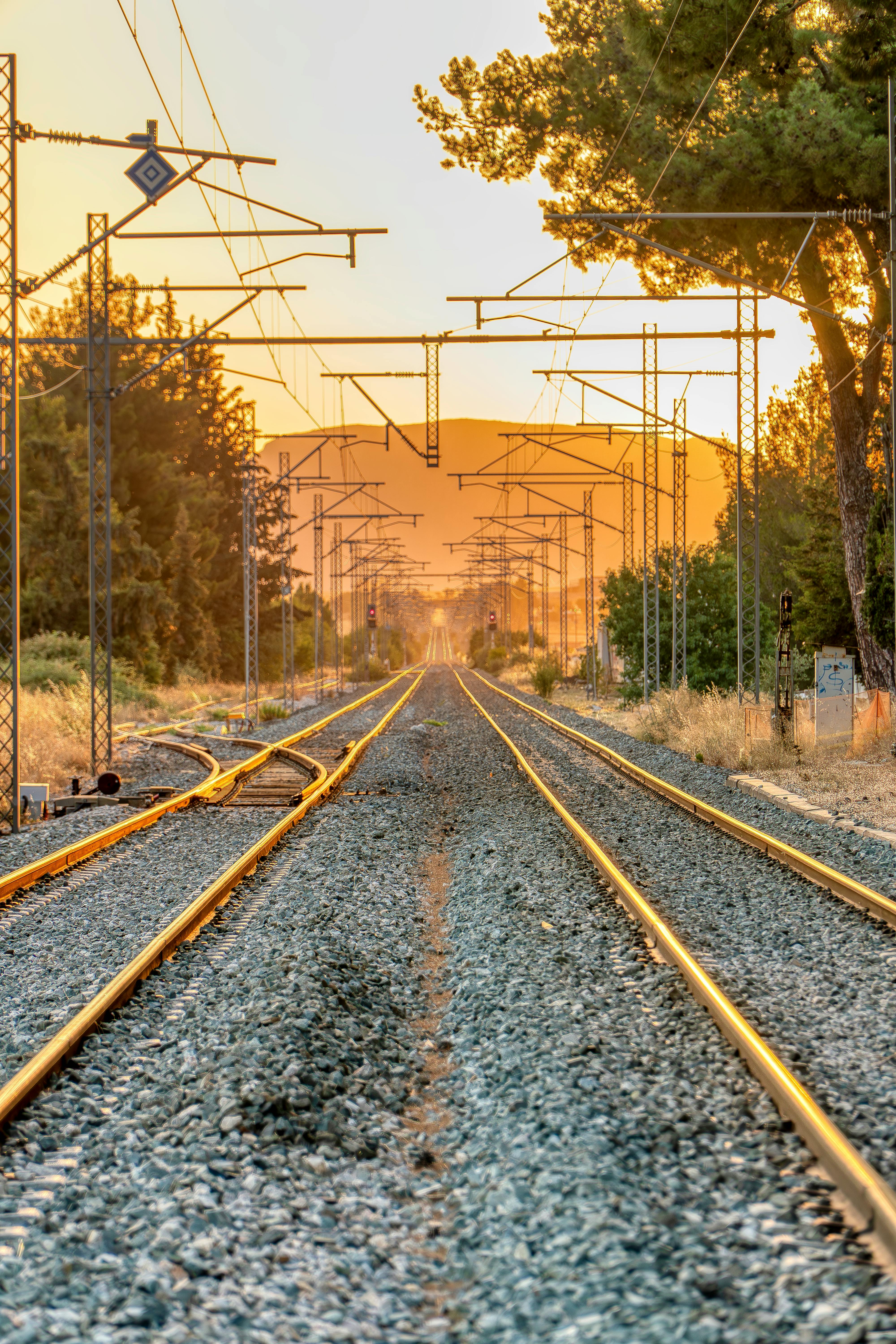 Gratis Immagine gratuita di alberi, avventura, bellezza naturale Foto a disposizione