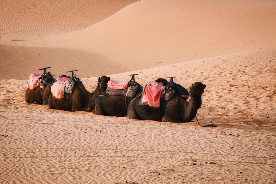Merzouga Sahara Journey — Sahara, Morocco