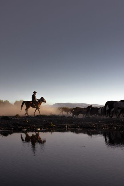 Silhouetted cowboy on horseback with herd by a lake at dusk in Kayseri, Türkiye.