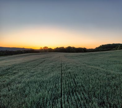Rural Field in Countryside at Sunset