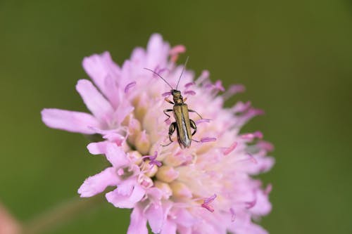 Gratis stockfoto met aan boord, antenne, aviate