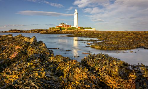 Free A picturesque lighthouse at sunset on a rocky coastline, surrounded by calm seas. Stock Photo