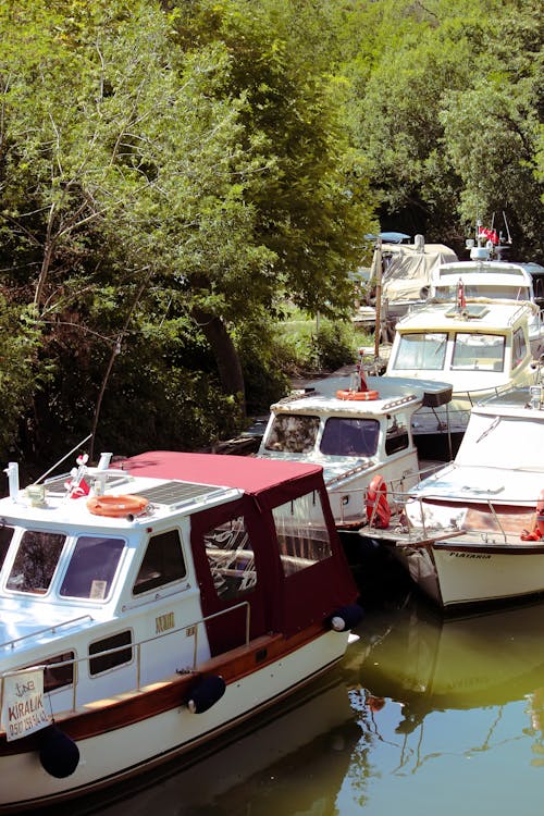 A group of boats are parked in a river