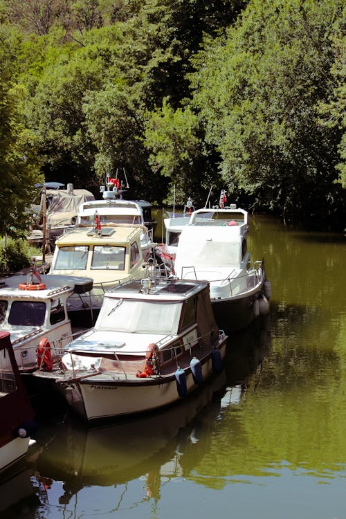 A group of boats parked in a river