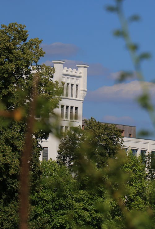 Free stock photo of lush trees, white building