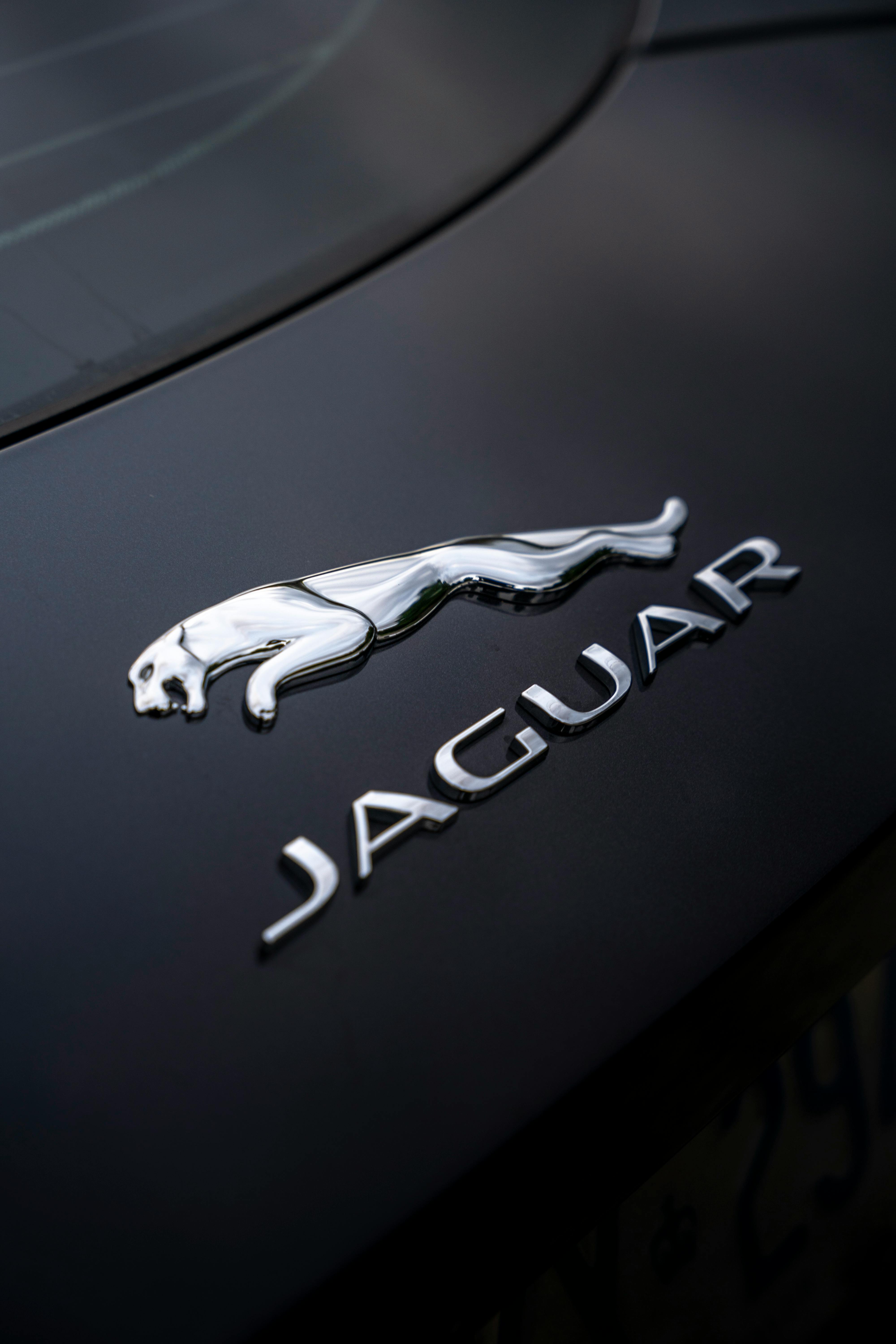 Close-up view of the Jaguar logo on a luxury car hood in Toronto, Canada.