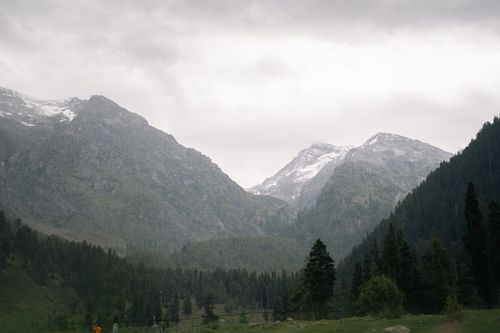 Free Explore the serene beauty of the snowcapped Pahalgam mountains and lush coniferous forest. Stock Photo