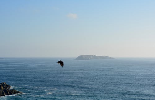 Photos gratuites de 4k, côte, fond d'écran