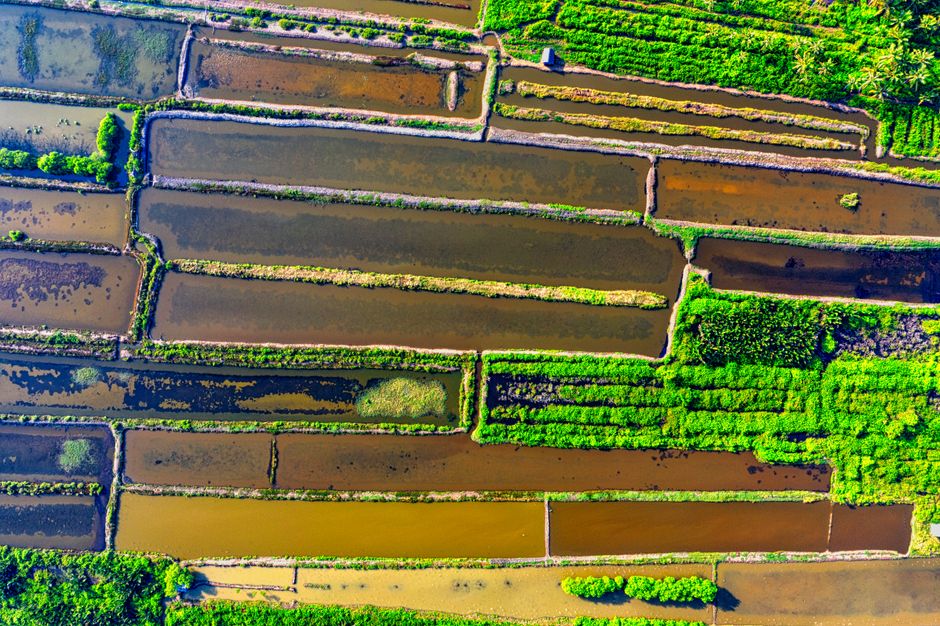 Aerial shot of rural farmland capturing greenery and irrigation patterns.