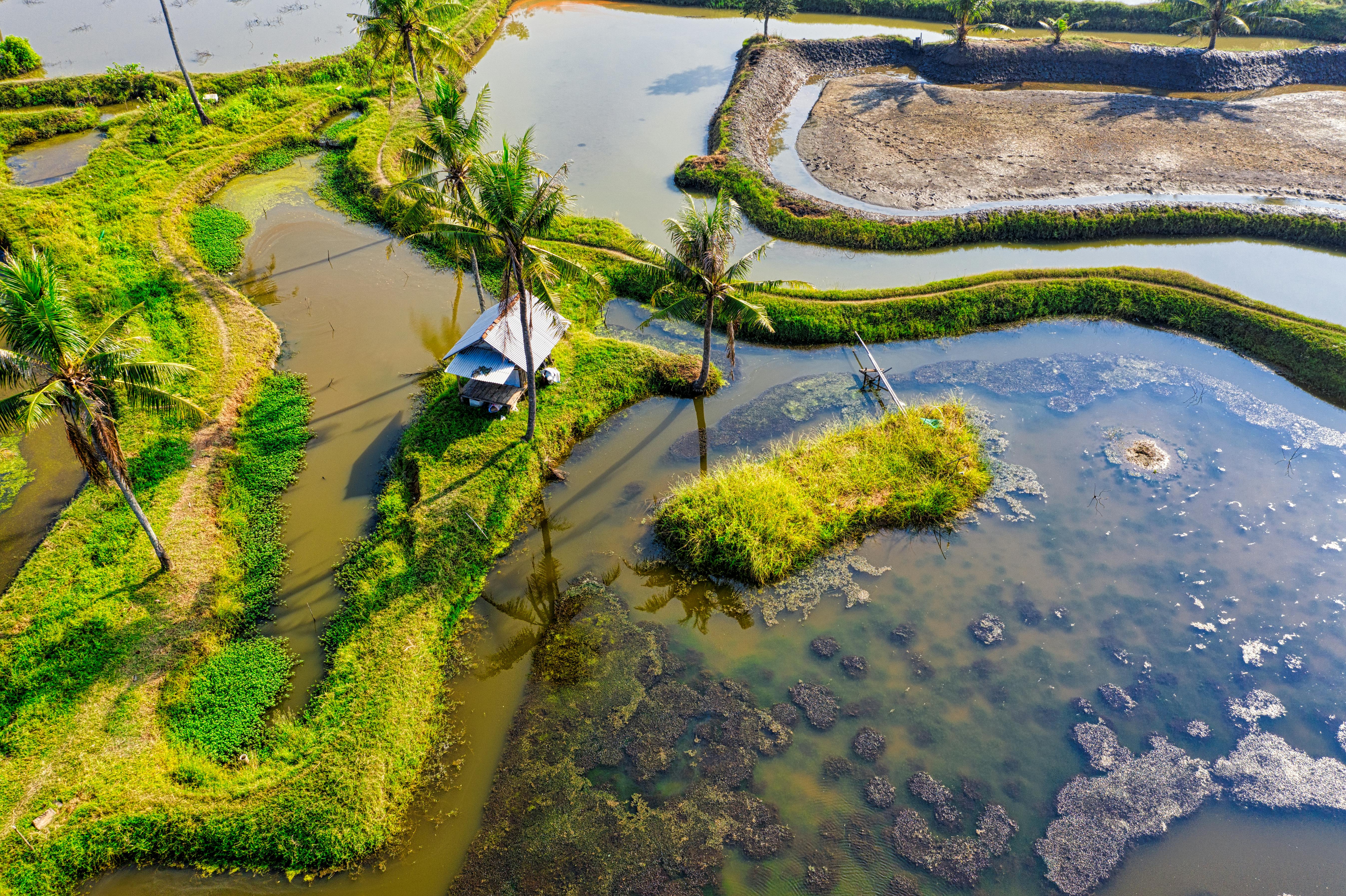 Free stock photo of aerial, agriculture, architecture