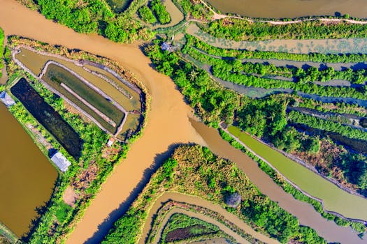 印度尼西亚万丹错综复杂的稻田鸟瞰图令人惊叹，展现了郁郁葱葱的绿色植被和蜿蜒流淌的河流