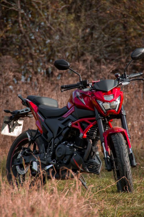 Free A vibrant red motorbike parked in a rural field with autumn foliage. Stock Photo
