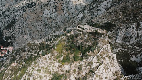 Kostenloses Stock Foto zu adriatische küste, baum, berg