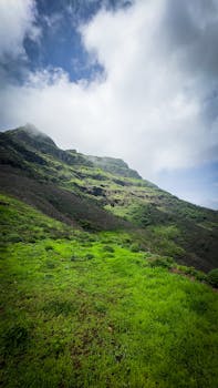 Vibrant green hillside with dramatic clouds above, showcasing a natural landscape.