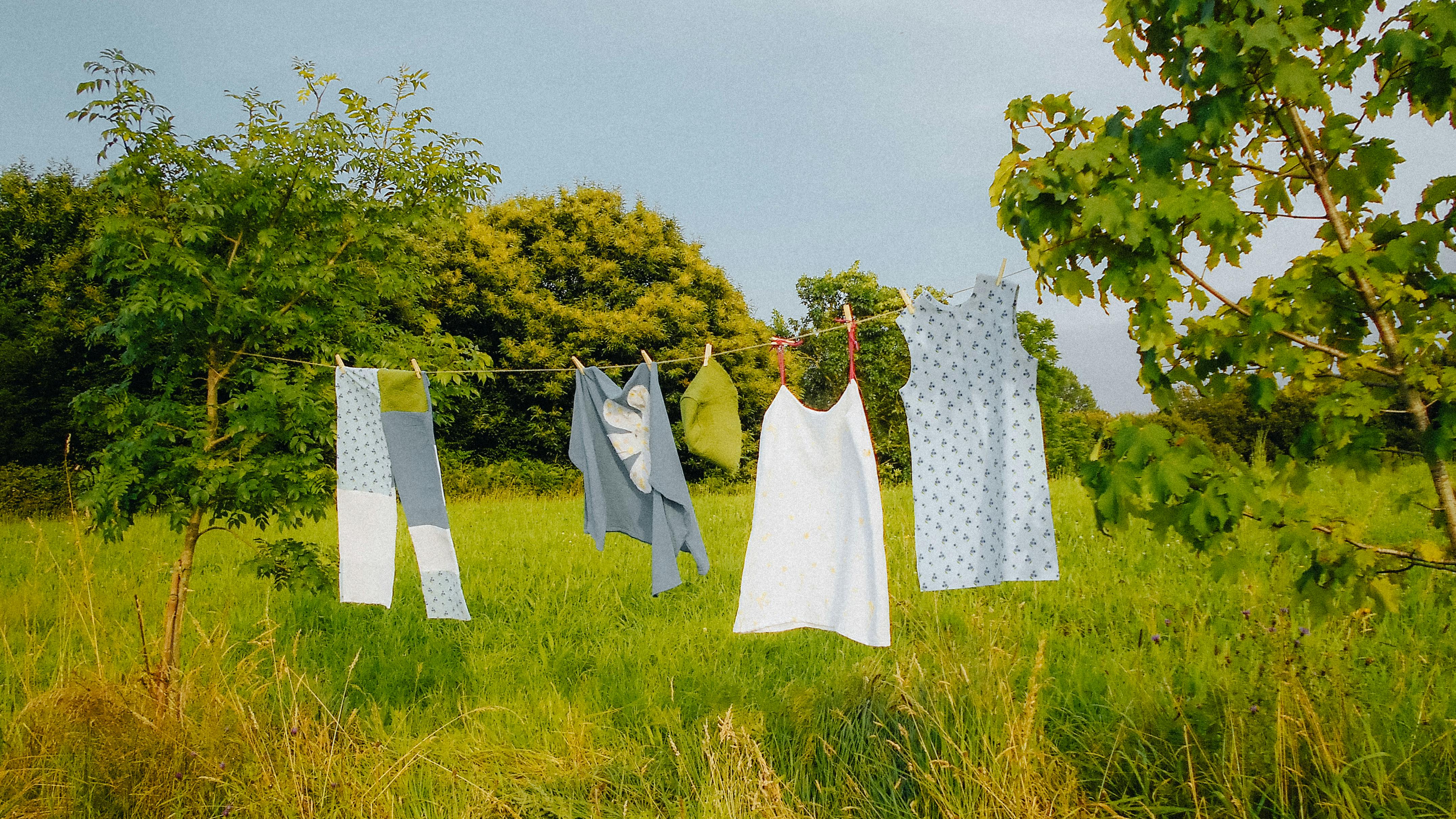 A close up of a pine tree with needles