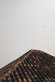 A terracotta tiled roof with birds flying overhead under a clear sky.