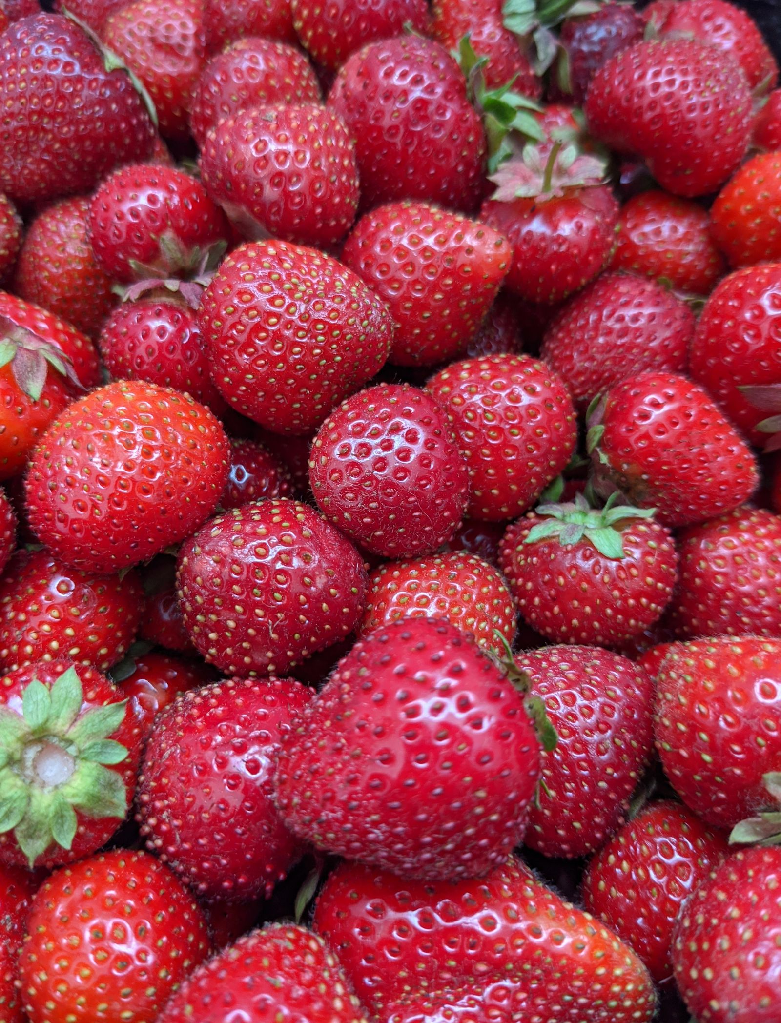 Fresh Strawberries In Close Up Photography Free Stock Photo fresh-strawberries-in-close-up-photography-free-stock-photo