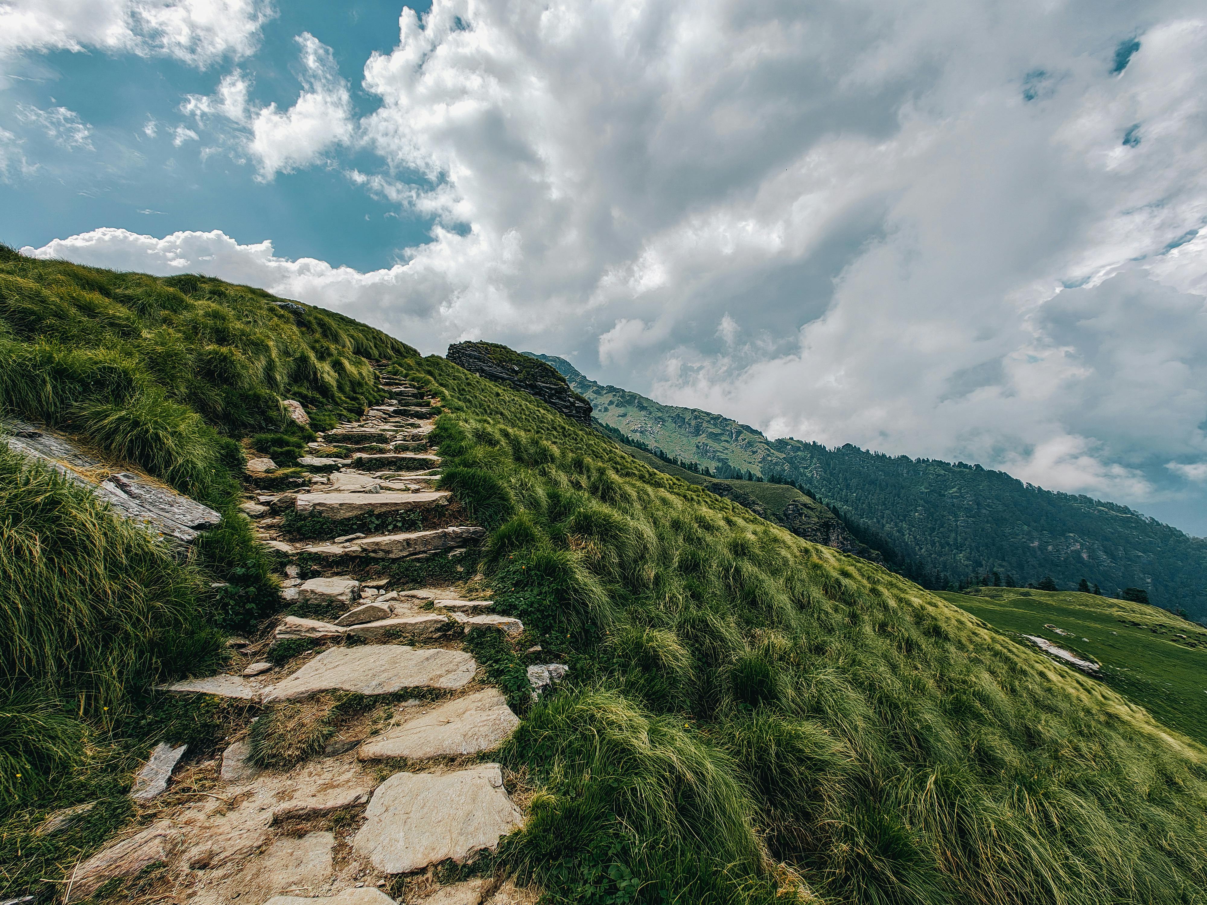 Healthspan White Paper: The Data-Driven Path to Longevity — Photo by Devansh Bahuguna on Pexels