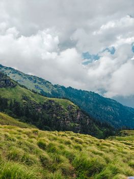 Majestic mountain range with dense forest and lush grass under dramatic clouds, ideal for nature lovers.