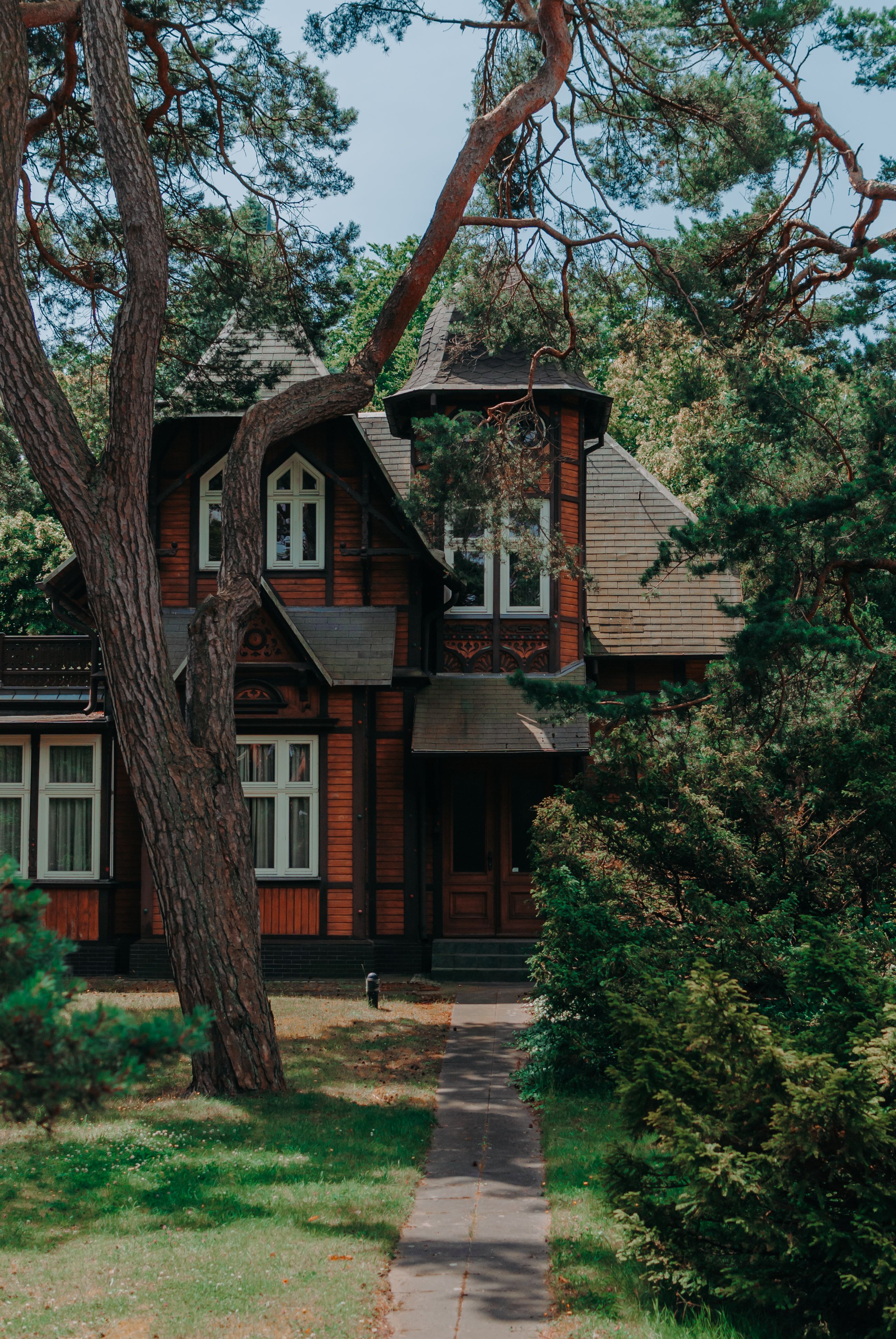 Wooden House among Trees · Free Stock Photo