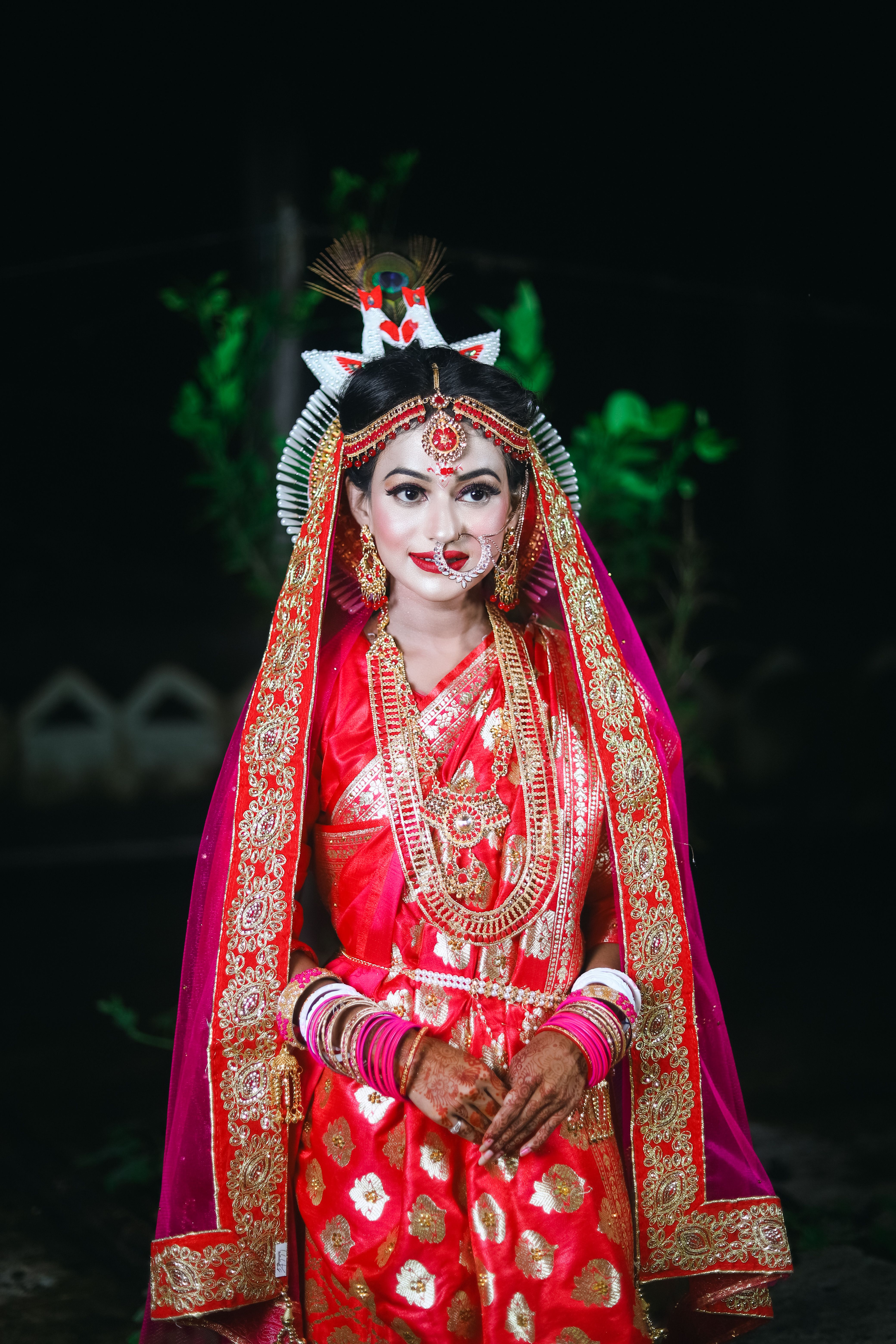 A woman in traditional indian dress posing for the camera · Free Stock ...