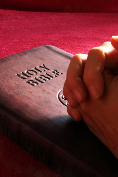 Free Person Hands on Holy Bible Stock Photo