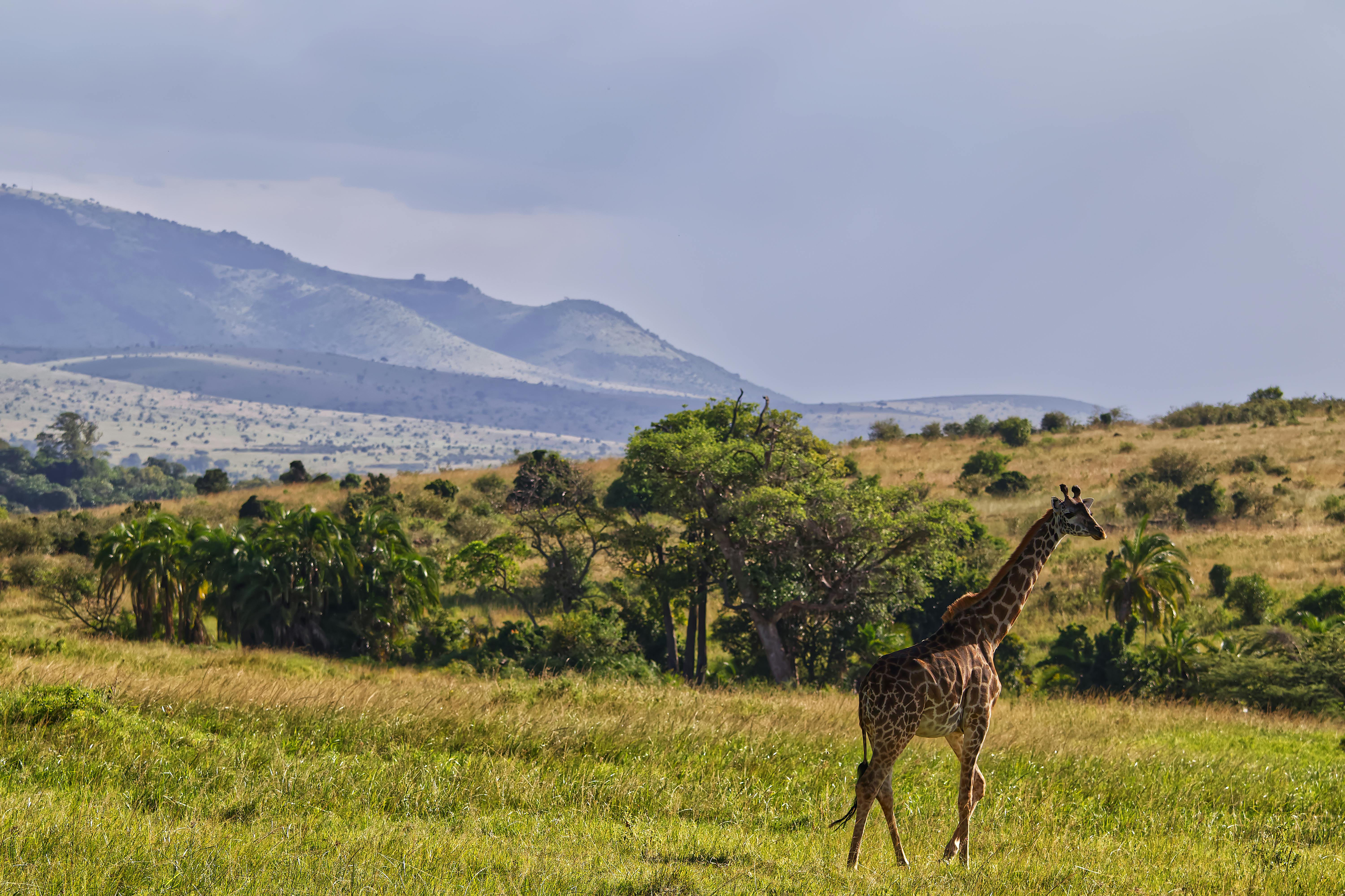 Uganda-Tanzania Tourism Roadshow 2026: Strengthening