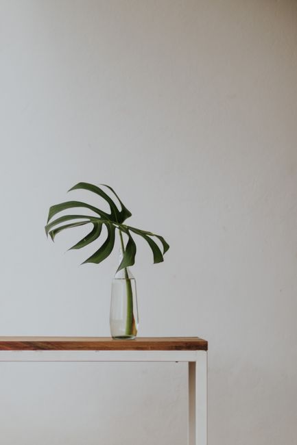 Elegant monstera leaf arrangement in a glass vase on a minimalist wooden table.