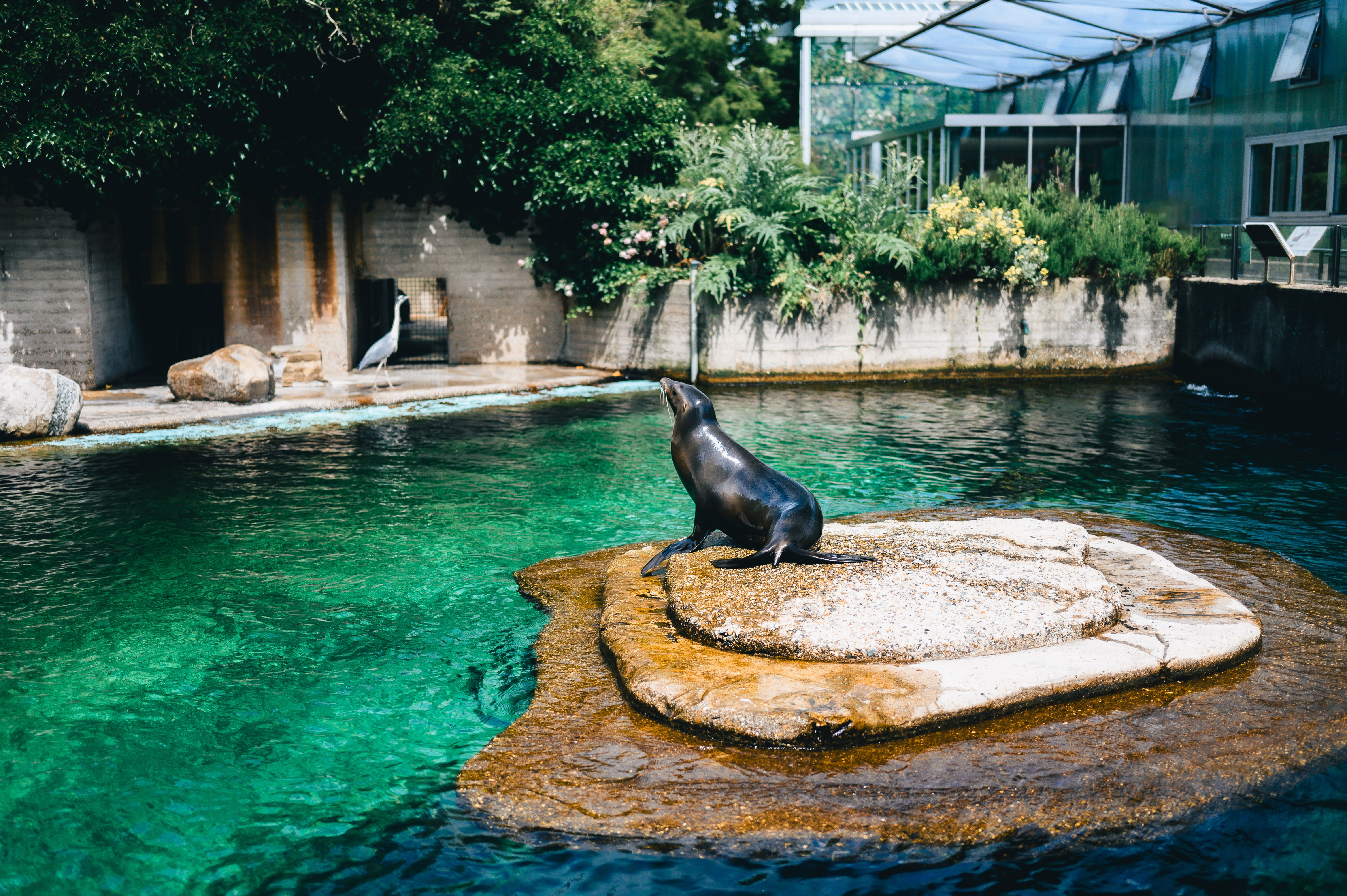 Understanding the Needs of Different Animal Species
