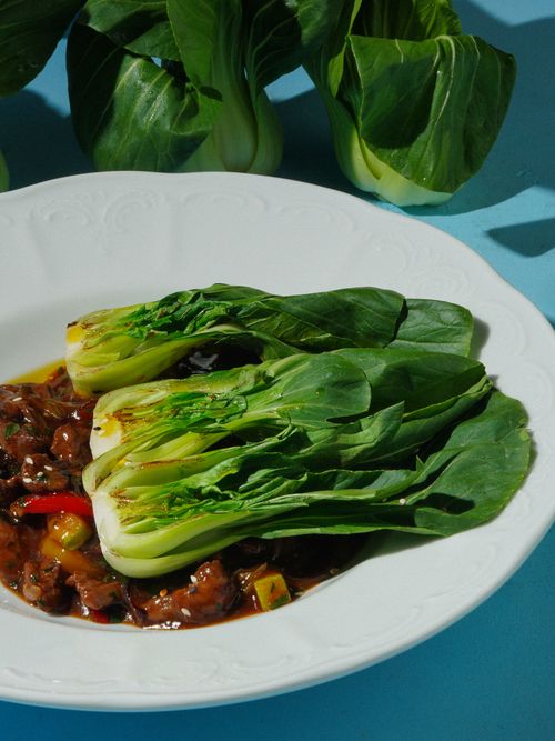 Free Close-up of fresh bok choy served on a white plate with savory stir fry on a blue background. Stock Photo
