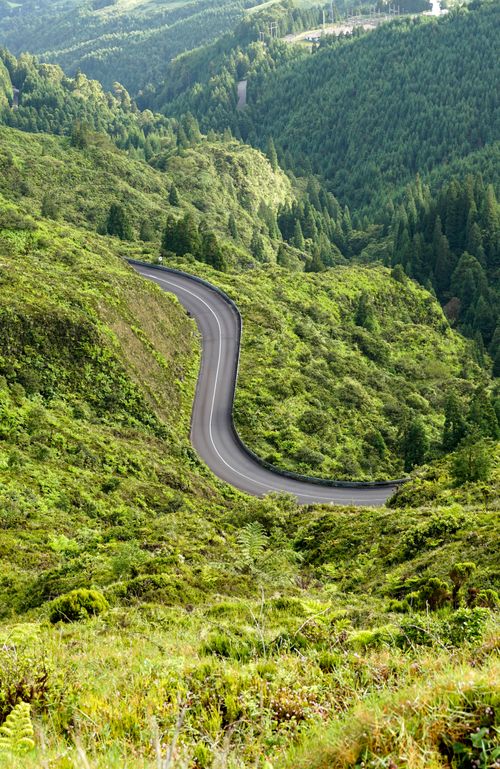 Free Curving road amidst lush green mountains with dense forest. Stock Photo