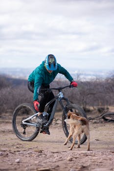 A cyclist on a mountain bike interacts with a curious dog on an outdoor trail.