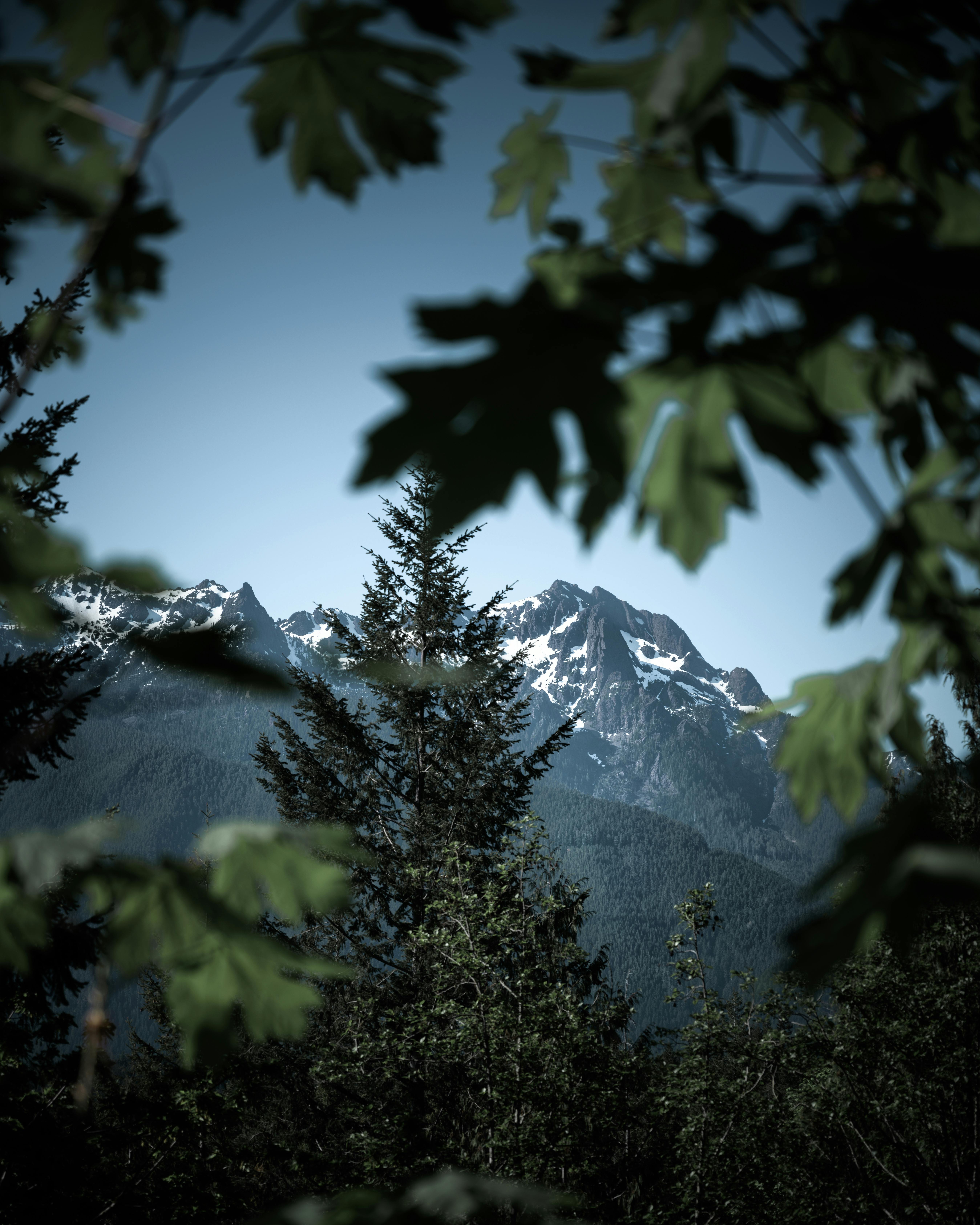 透过安吉利斯港郁郁葱葱的树叶，可以捕捉到奥林匹斯山的景色