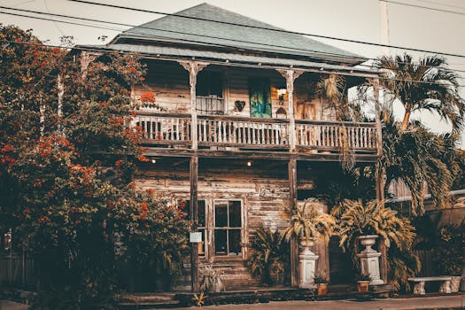Garden & Outdoor