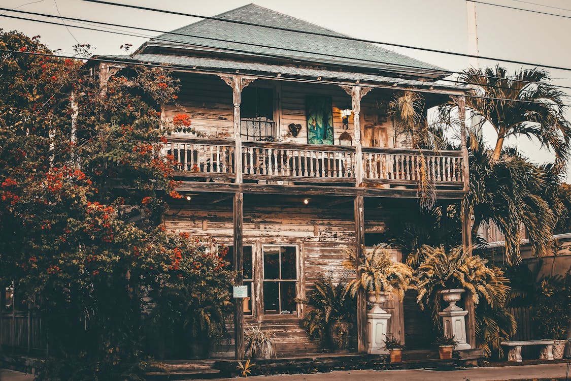 Brown Wooden House Surrounded With Trees and Plants