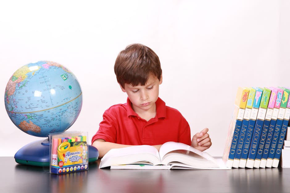 books, boy, brown