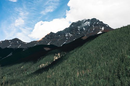 Free Scenic view of snowy mountain peaks and lush forest in Banff, Canada on a clear day. Stock Photo