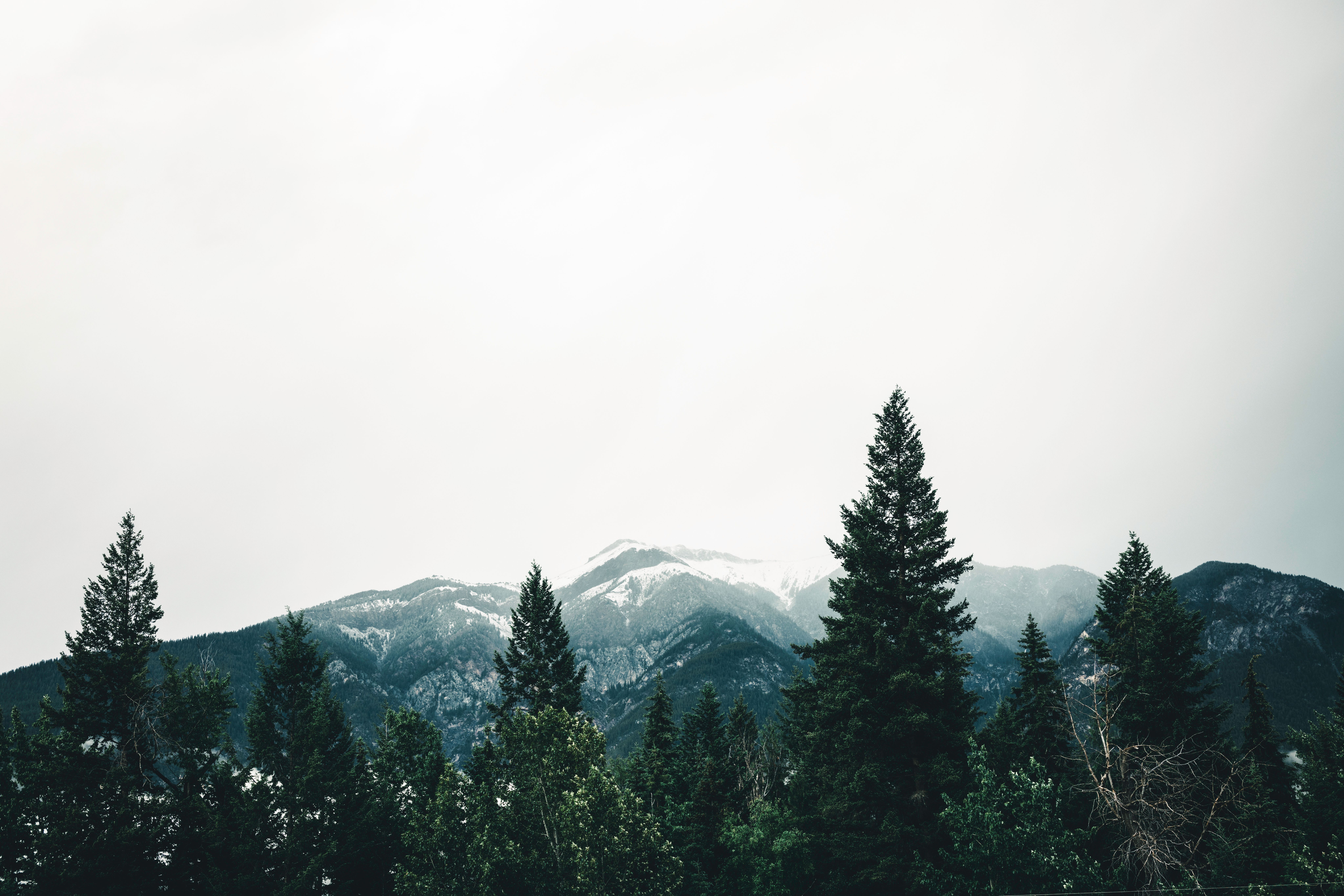 real estate buy sell rent real estate buy sell agreement montana — Photo by Ali Kazal on Pexels