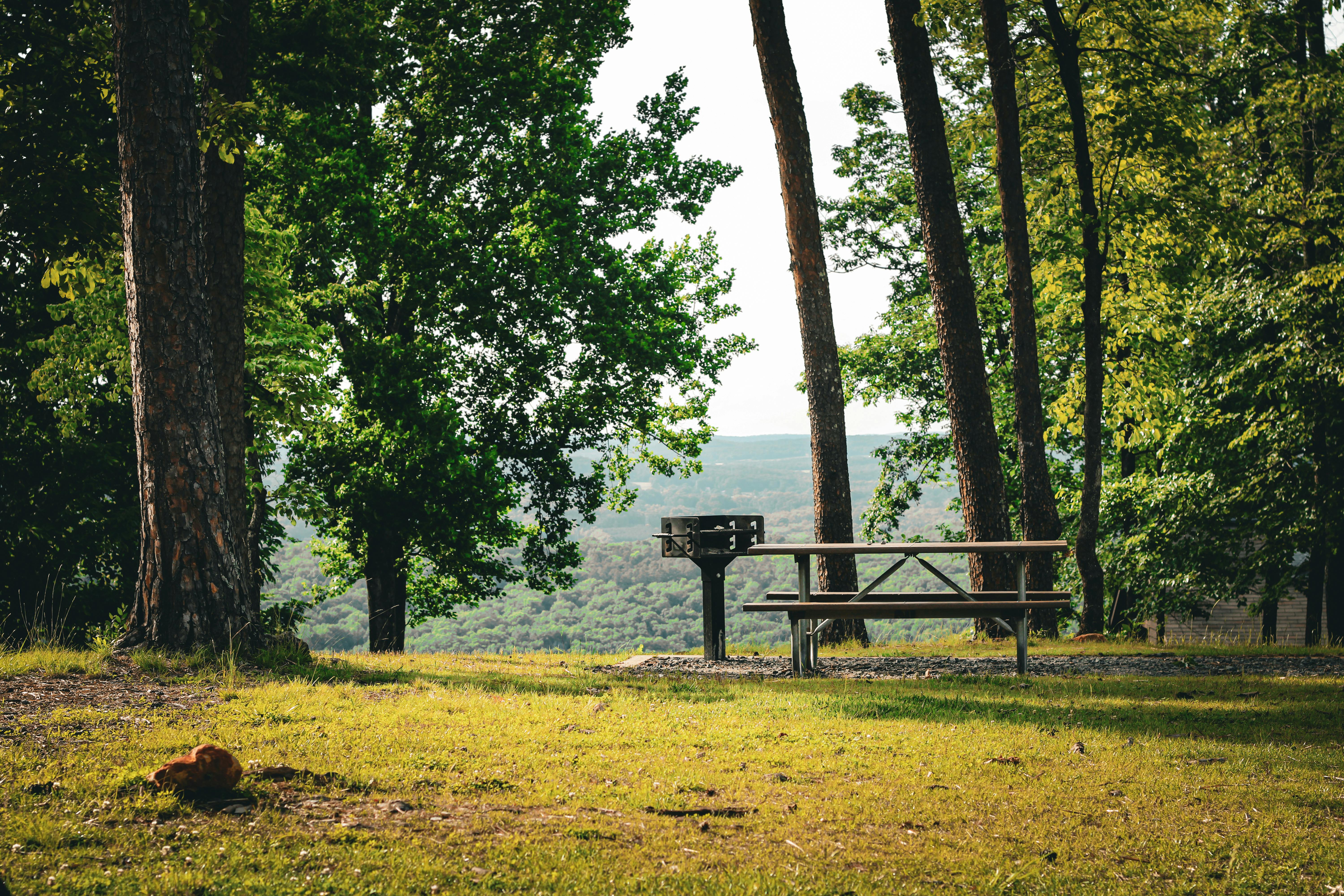 Fort A.P. Hill Outdoor Recreation Manager Recognized among Army’s Best — Photo by Kauany Gonçalves on Pexels