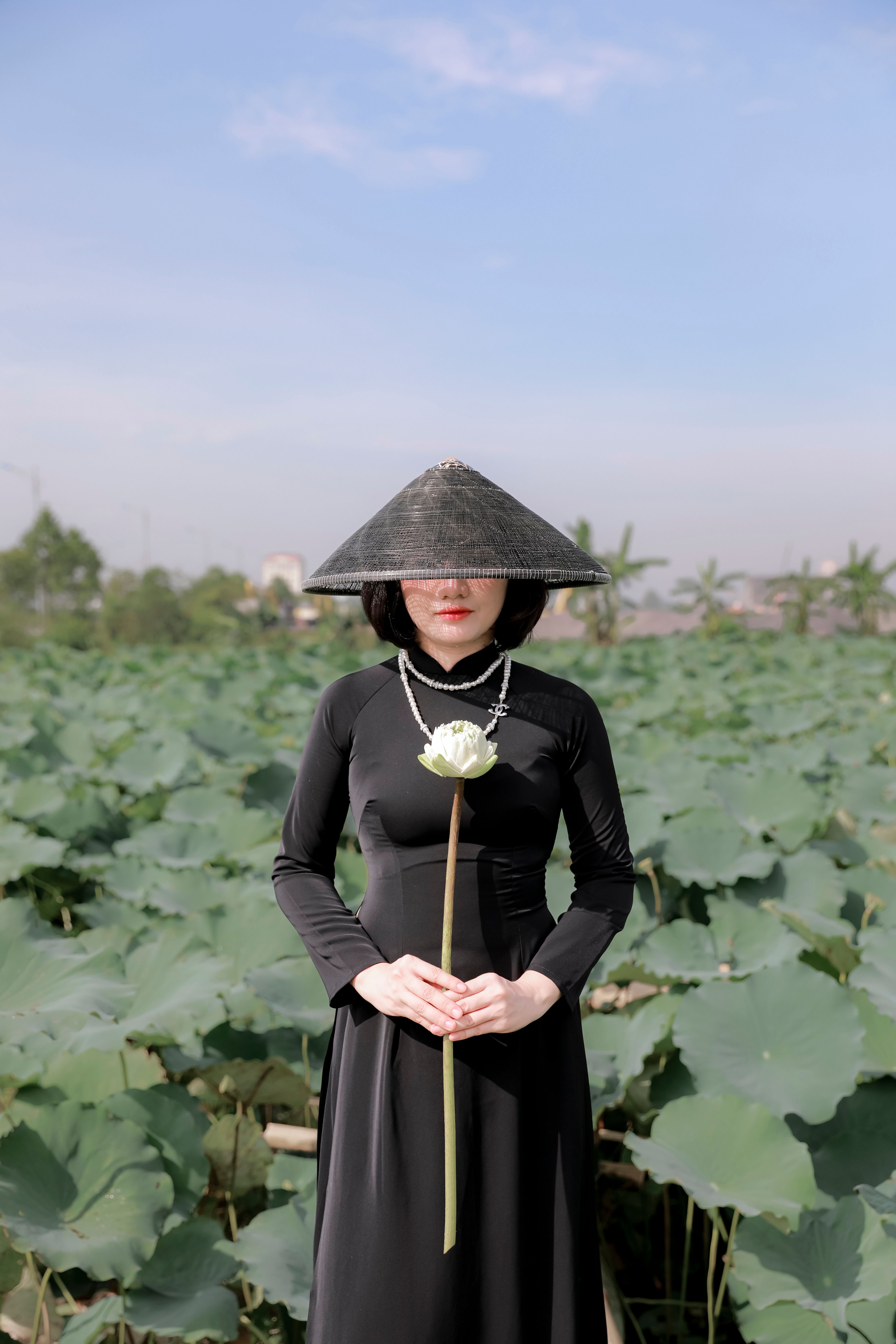 Portrait of a woman in a black dress with a conical hat holding a lotus flower in a lotus field.