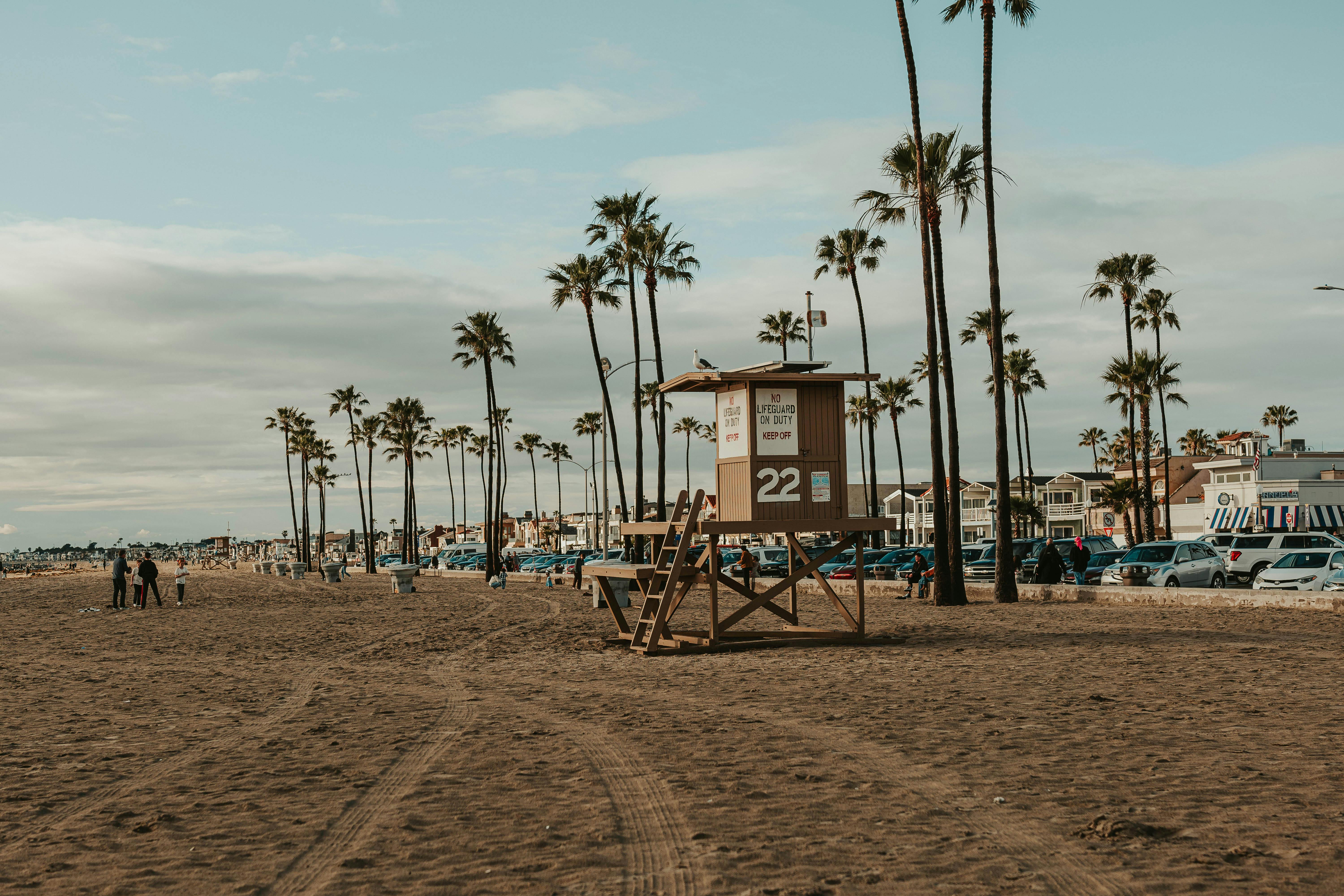 Tranquil beach scene with a lifeguard tower and iconic palm trees under a blue sky.