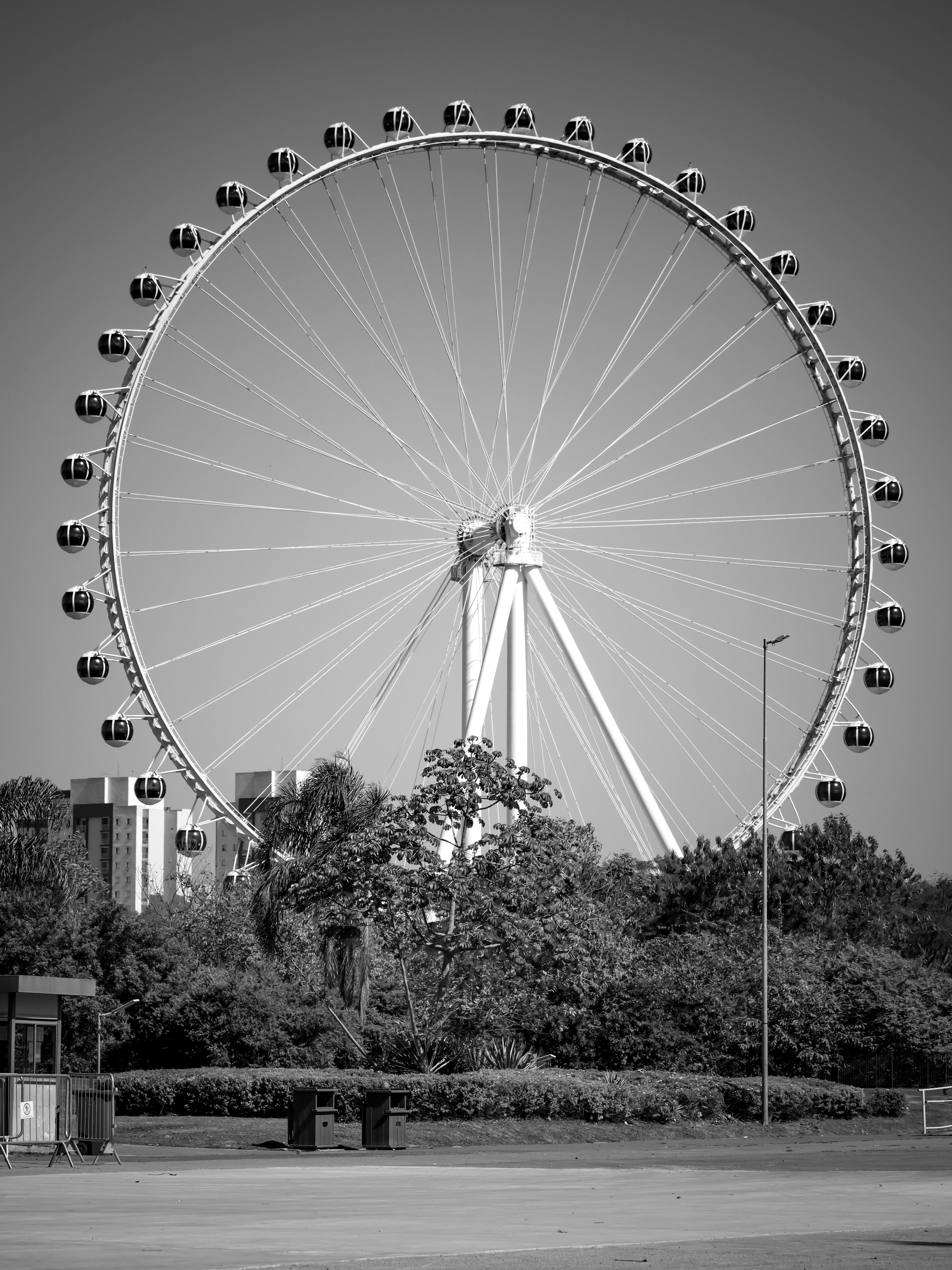 Black and white photo of the London Eye Ferris wheel, capturing its iconic structure.