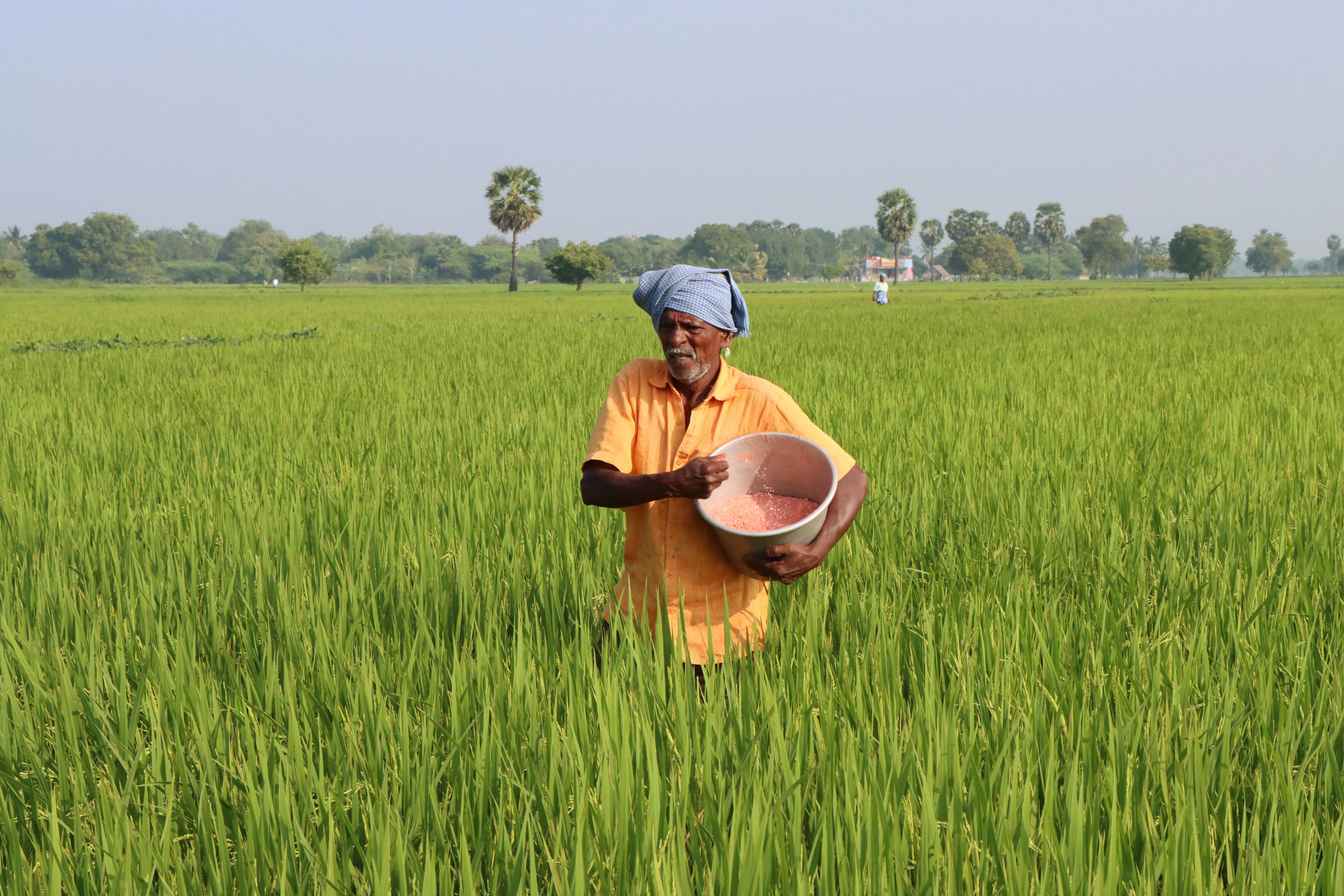 assisted living sow meaning