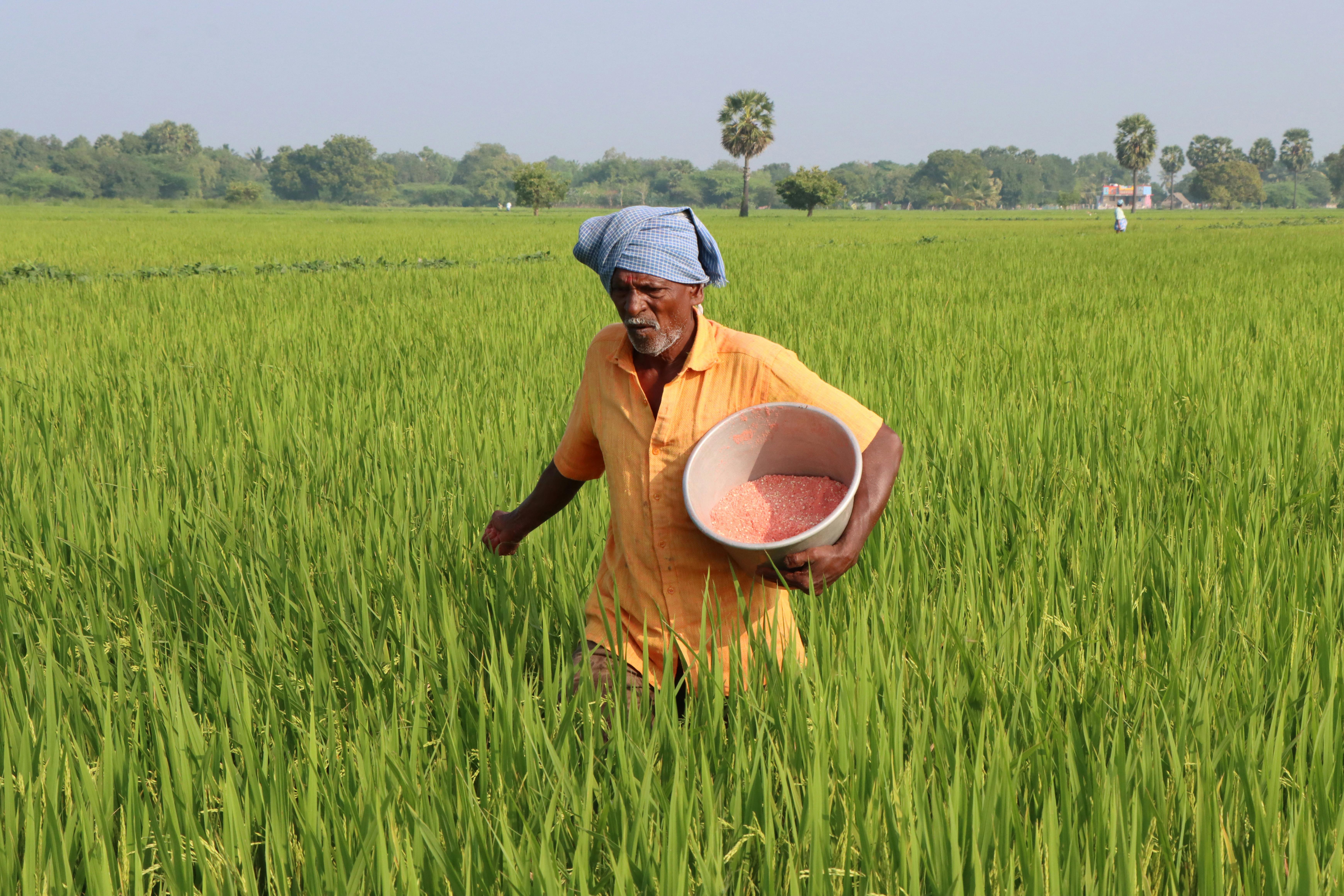Many farmers utilize life insurance for farm financing — Photo by Amar .M on Pexels