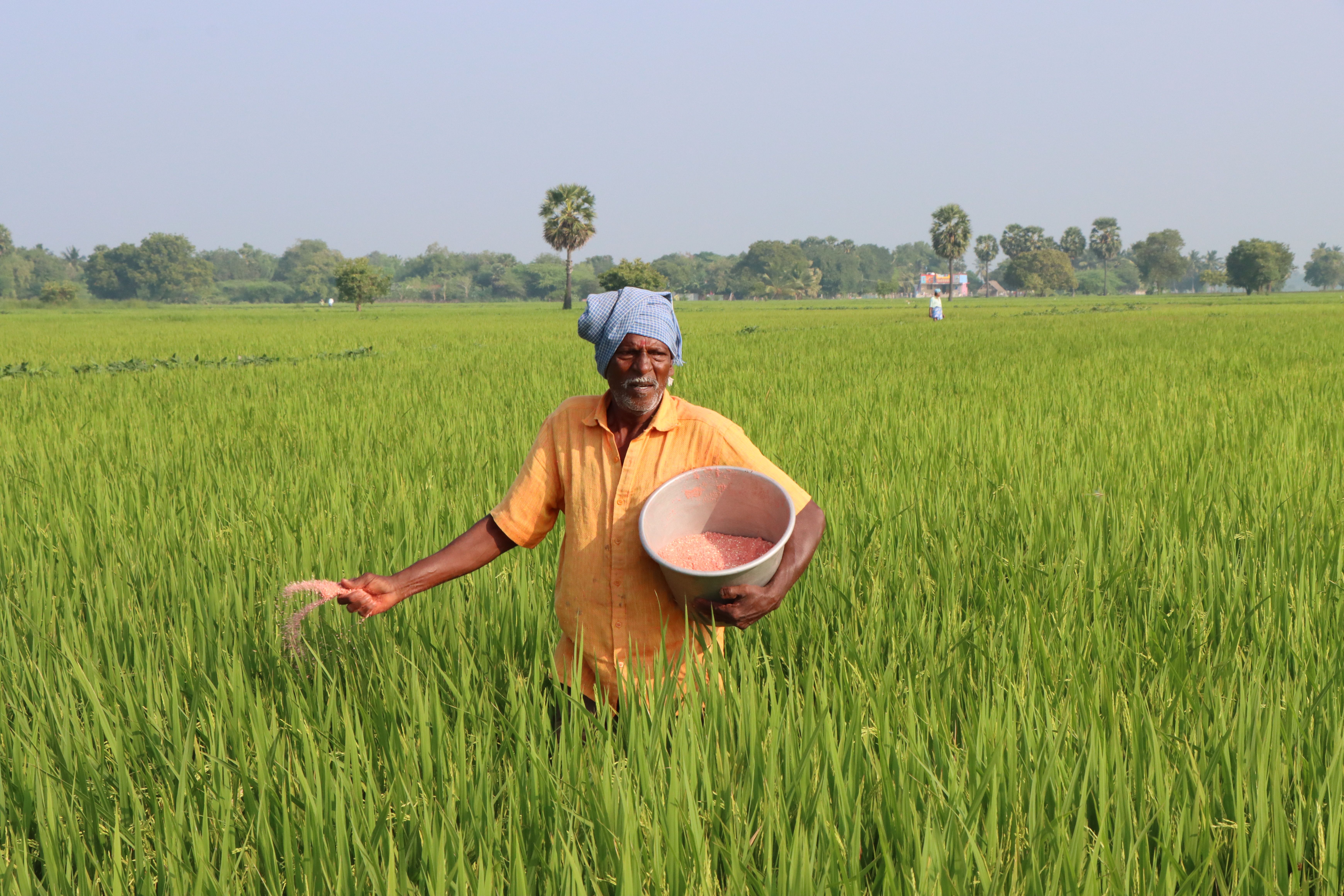 An Elderly Man Holding a Basket Walking on a Crop · Free Stock Photo