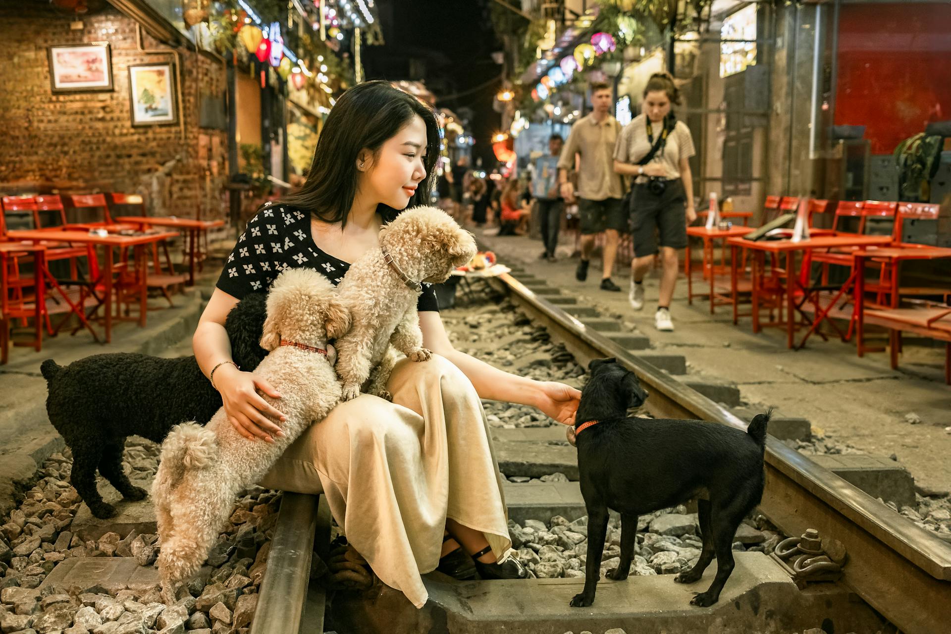 A Young Woman Sitting on the Hanoi Train Street with Dogs